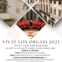 Vivat Vox Organi v Rimavskom Brezove